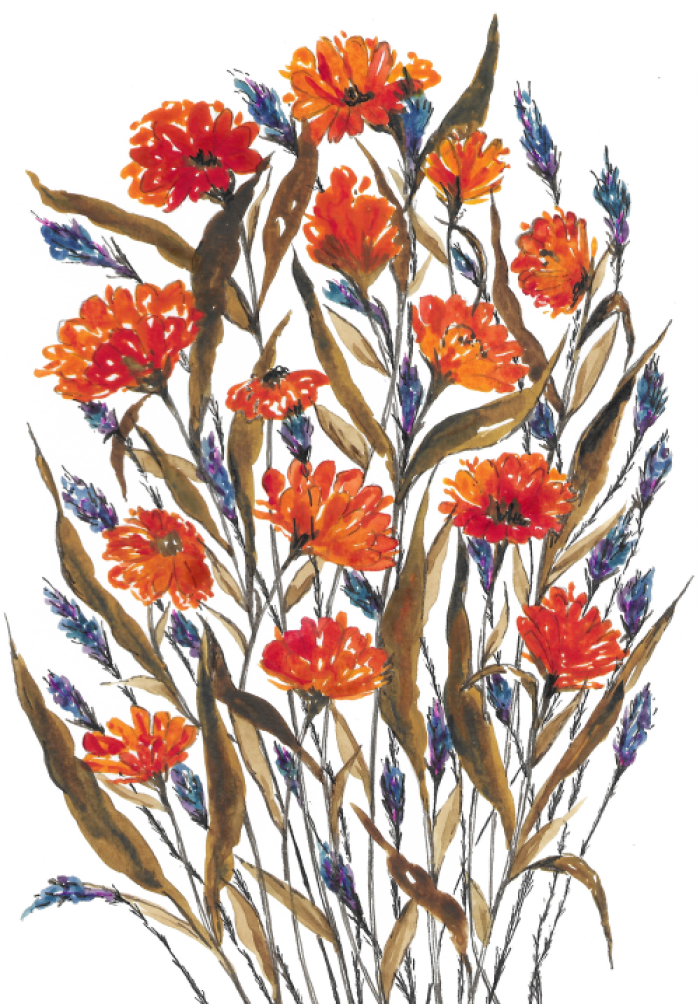 Orange Blossomcompressed